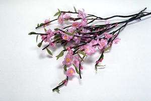 【2025年最新】歯ブラシ選びと効果的な使い方で口腔ケアを極める完全ガイド